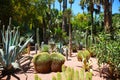 Majorelle garden