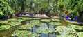 Majorelle Garden pond