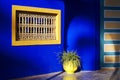 Majorelle Window