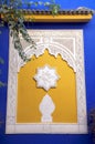 Majorelle Window