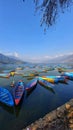 Majuli Island, nestled in the Brahmaputra River,