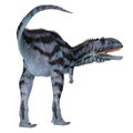 Majungasaurus Dinosaur Tail