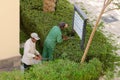 Makadi-bay, Egypt, July 27, 2014. Two Gardeners cutting bushes Royalty Free Stock Photo