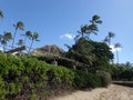 Makalei Beach with waves lapping, napakaa, and coconut trees along the shore on a wonderful day Royalty Free Stock Photo