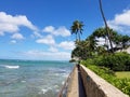 Makalei Beach with waves lapping, napakaa, lava rock wall and Coconut trees along the shore Royalty Free Stock Photo