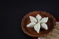 makar sangkranti or poush sangkranti celebration with puli pithe or bengali rice flour dumplings with coconut fillings served on a