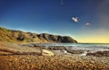 Makara Beach New Zealand Royalty Free Stock Photo