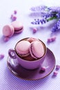 Makarons French pastries stuffed Royalty Free Stock Photo