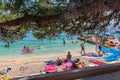 Makarska, Croatia - 22.7.2021: Peoples on the beach at Makarska city, Croatia. Pine tree in foreground, relaxation on the beach,