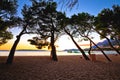 Makarska pebble beach and pine trees sunset view Royalty Free Stock Photo