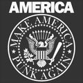 Make America Punk Again vector illustration logo