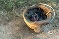 Make a fire with dry twigsand dry leaves. Royalty Free Stock Photo