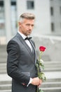 Make good first impression. Valentines day and anniversary. Handsome guy rose flower romantic date. Well groomed macho Royalty Free Stock Photo