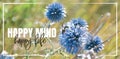 Happy mind, happy life. Wording design, lettering. Beautiful inspirational, motivational, life quotes. Blue flower in nature