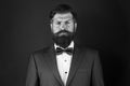 Make male grooming simpler and more enjoyable. Well groomed man beard in suit. Male fashion and aesthetic. Businessman Royalty Free Stock Photo