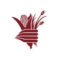 Make a Professional Corn Plant Vector Art Images Royalty Free Stock Photo