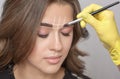 The make-up artist applies a henna paints eyebrow dye on the eyebrows of a young girl. Professional makeup and cosmetology skin Royalty Free Stock Photo