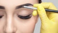 The make-up artist applies a paints eyebrow dye on the eyebrows of a young girl. Beautiful thick eyebrows close up. Professional Royalty Free Stock Photo