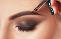 Make-up artist does eyebrow make-up to a woman with smoky eyes makeup. Beautiful thick eyebrows close up. Professional makeup and