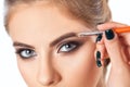 Make-up artist does eyebrow make-up to a woman with smoky eyes makeup. Beautiful thick eyebrows close up. Professional makeup and