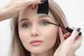 Make-up artist paints a girl with black mascara eyelashes closeup. Royalty Free Stock Photo