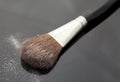 Make-up brush Royalty Free Stock Photo