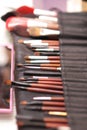 Make-up brush kit Royalty Free Stock Photo