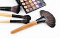 The make up brush set put beside eyeshadow palette