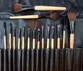 Make up brushes