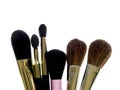 Make Up Brushes