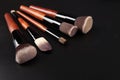 Make-up brushes Royalty Free Stock Photo