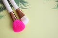 Make up brushes Royalty Free Stock Photo