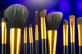 Make-up Brushes set over black holiday blinking background. Various Professional makeup brush on dark backdrop in studio Royalty Free Stock Photo