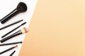 Make-up brushes set. Scattered visagiste tools for applying powder, foundation for face, eyeshadow, eyeliner, blush, mascara and