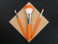 Make up or Cosmetic Application Brushes