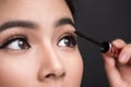 Make-up and cosmetics concept. Asian woman doing her makeup eyelashes black mascara. Royalty Free Stock Photo