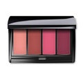 Make-up palette container. Color compact eyeshadow or blush kit. Open makeup cosmetic case. Realistic vector illustration