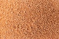 Make-up sponge close-up texture. Macro porous beige