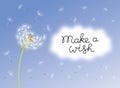 Make a wish card with dandelion fluff. Royalty Free Stock Photo