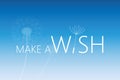 Make a wish typography with dandelion on blue background Royalty Free Stock Photo