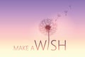 Make a wish typography with dandelion Royalty Free Stock Photo