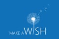 Make a wish typography with dandelion