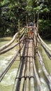 a makeshift bamboo bridge over a flowing river Royalty Free Stock Photo
