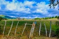 Makeshift fence of weathered sticks and barbed wire