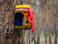 Makeshift houses for the birds in the Park Royalty Free Stock Photo