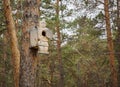 Makeshift houses for the birds in the Park