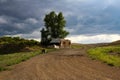 Makeshift ramshackle shack on a roadside under a big cottonwood tree near Gunnison, Colorado, USA