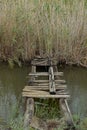 Makeshift bridge swamp creek