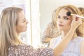 Makeup artist applies model makeup on face. bridal makeup, light evening make-up in nude tones