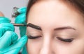 Makeup artist applies paint henna on eyebrows in a beauty salon. Royalty Free Stock Photo